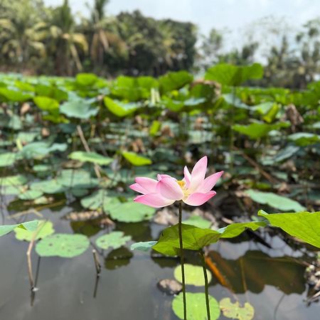 Huong Tram Homestay Ho Da Kültér fotó