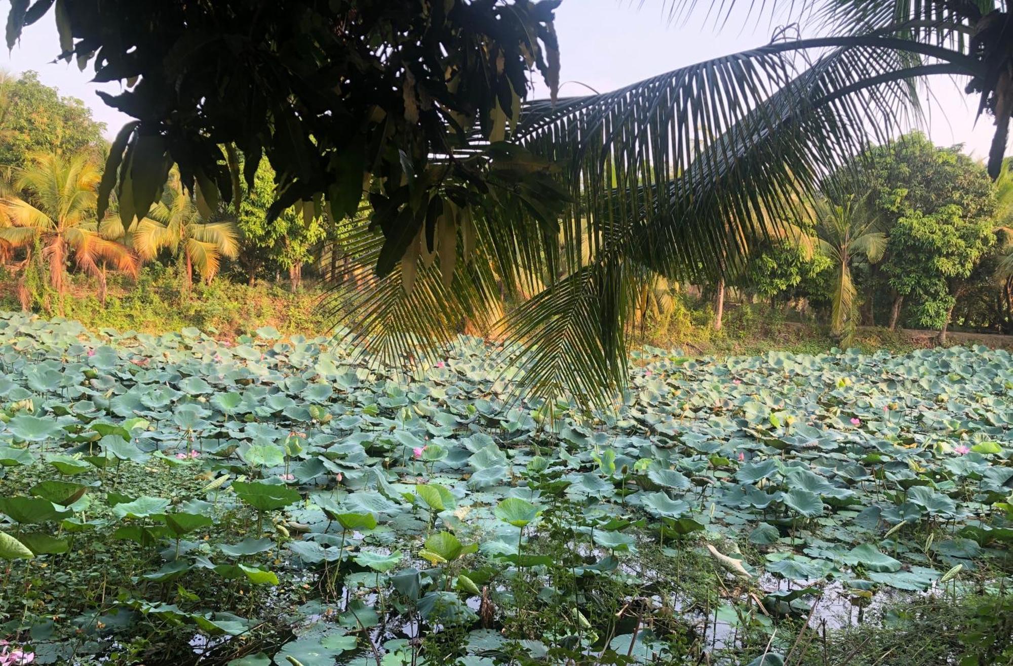 Huong Tram Homestay Ho Da Kültér fotó