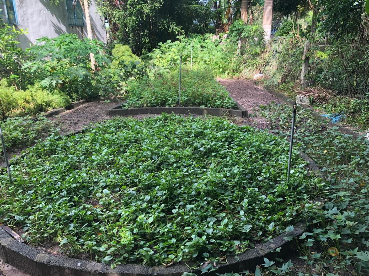 Huong Tram Homestay Ho Da Kültér fotó
